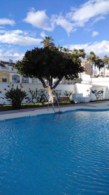 Precioso Apartamento Frente A La Playa Torre Del Mar Eksteriør billede